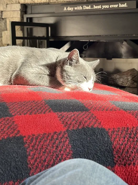 Value Pet Vet Picture 10