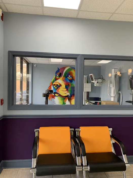 Value Pet Vet Picture 9