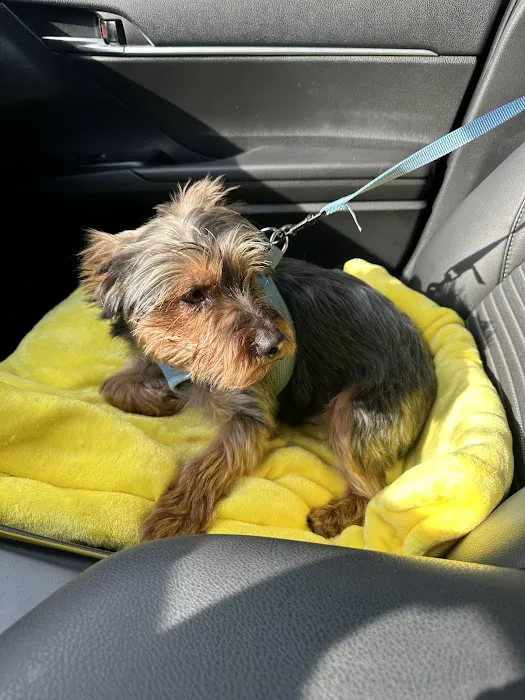 Nutmeg Spay/Neuter Clinic Picture 1