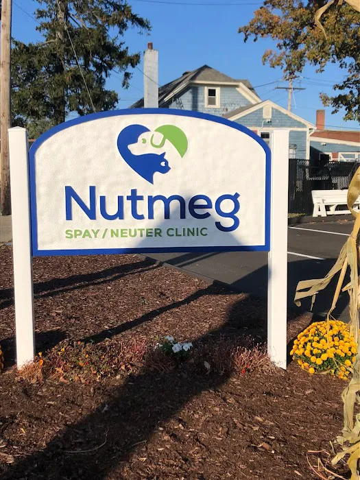 Nutmeg Spay/Neuter Clinic Picture 3