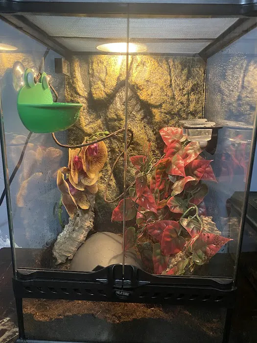 Pets Burg Picture 4