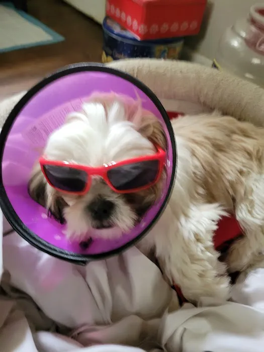Bridgeport Veterinary Hospital Picture 2