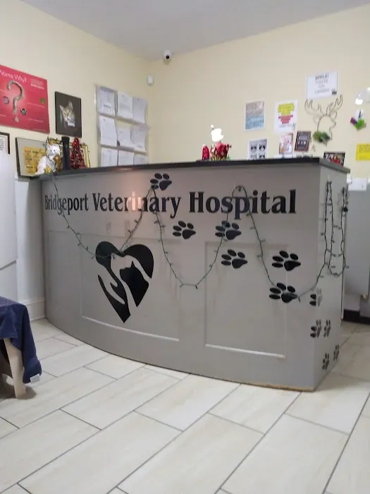 Bridgeport Veterinary Hospital Picture 5