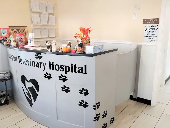 Bridgeport Veterinary Hospital Picture 7