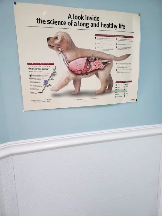 Bridgeport Veterinary Hospital Picture 8
