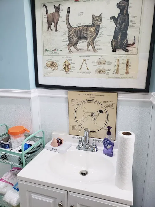 Bridgeport Veterinary Hospital Picture 9