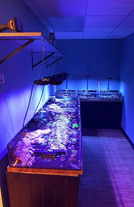 Michiana Aquarium and Pet Supply Picture 9