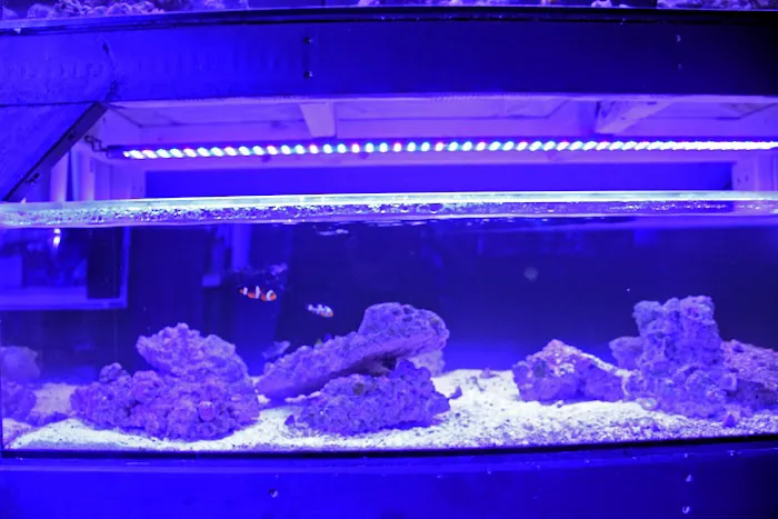 Michiana Aquarium and Pet Supply Picture 5