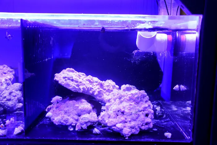 Michiana Aquarium and Pet Supply Picture 6