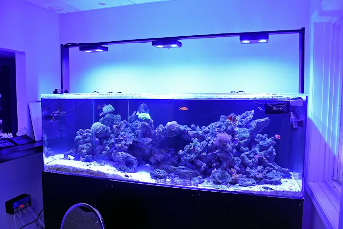 Michiana Aquarium and Pet Supply Picture 7