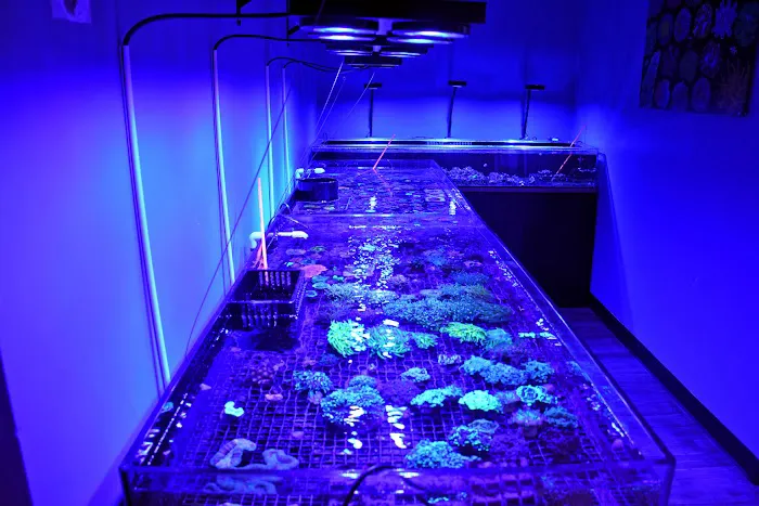 Michiana Aquarium and Pet Supply Picture 1