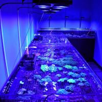 Michiana Aquarium and Pet Supply ico