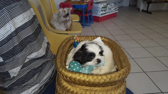 Brookside Veterinary Hospital Picture 5