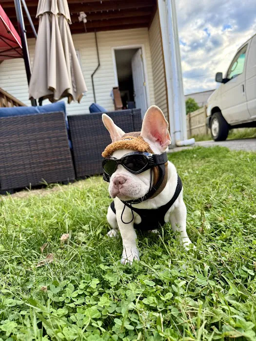 Brookside Veterinary Hospital Picture 4