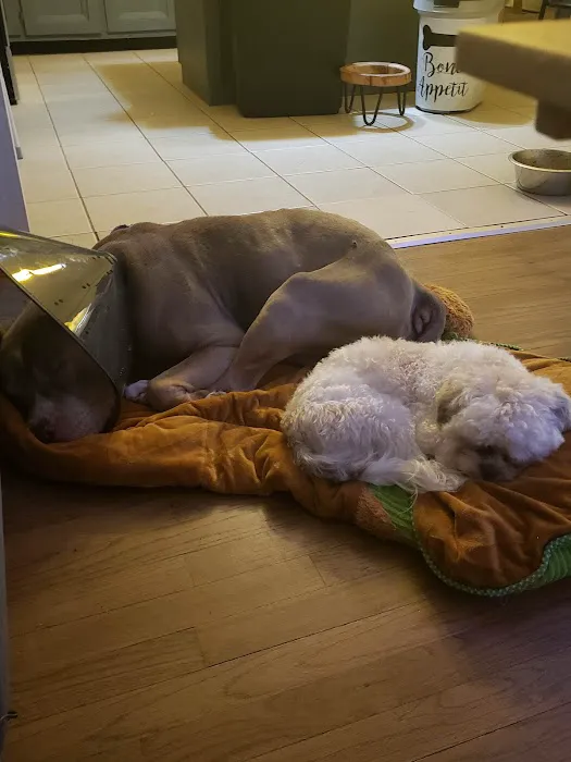 Brookside Veterinary Hospital Picture 1