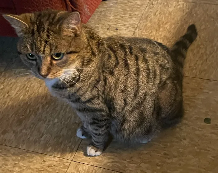 Brookside Veterinary Hospital Picture 2