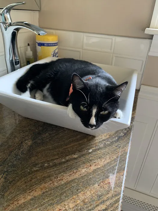 Brookside Veterinary Hospital Picture 3