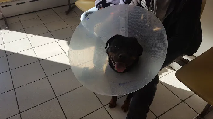 Brookside Veterinary Hospital Picture 6