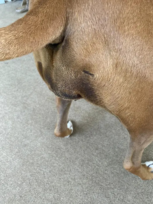 Brookside Veterinary Hospital Picture 7