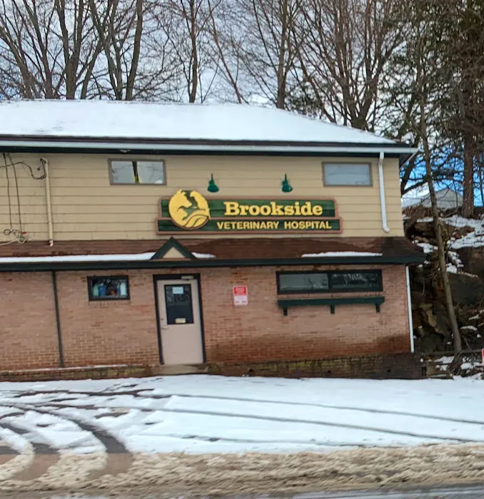 Brookside Veterinary Hospital Picture 8