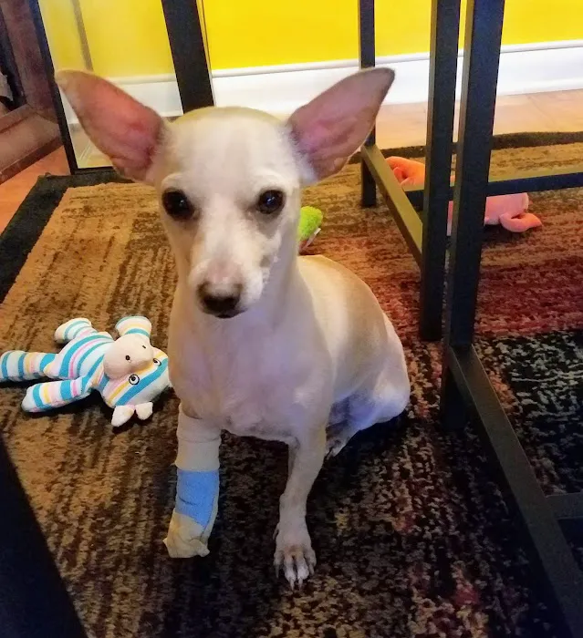 Brookside Veterinary Hospital Picture 9