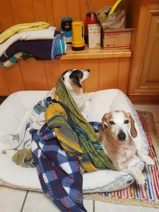Goldens Bridge Veterinary Care Center Picture 6