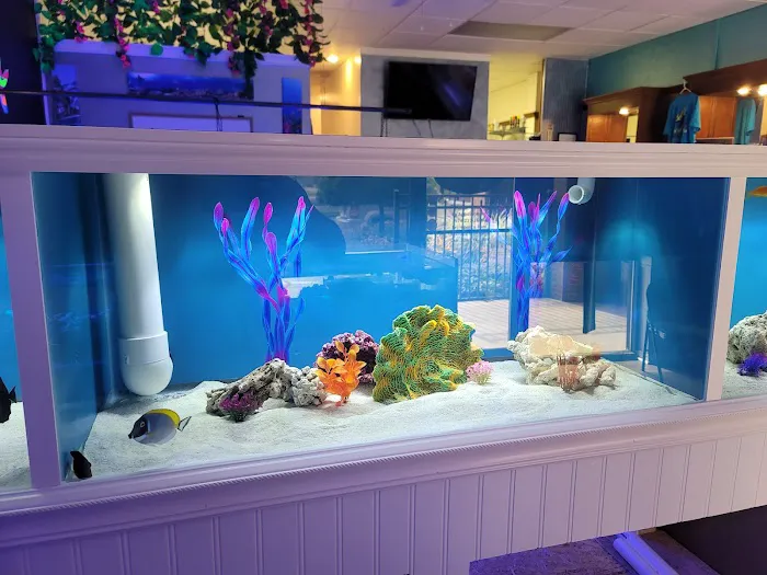 DNA Aquatic Picture 4