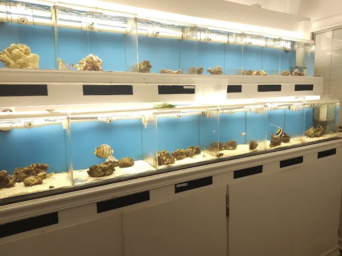 DNA Aquatic Picture 5