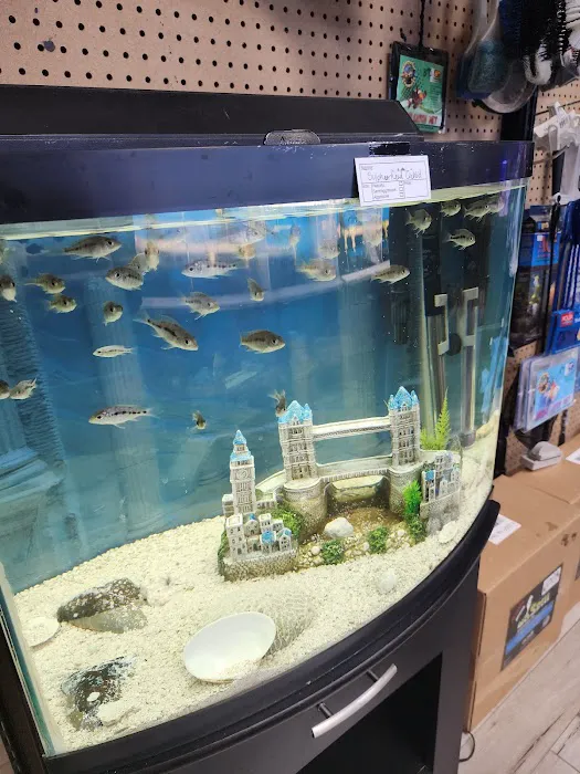 Northside Aquatics LLC Picture 7