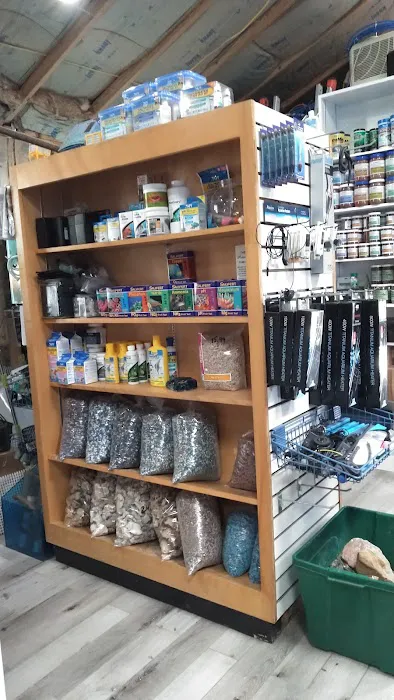 Northside Aquatics LLC Picture 6