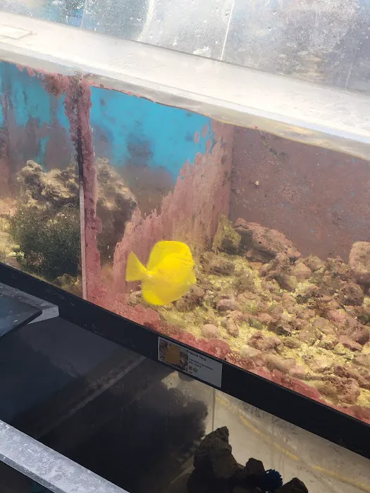 Northside Aquatics LLC Picture 4