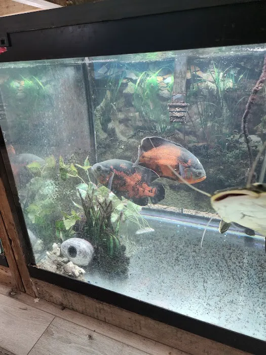 Northside Aquatics LLC Picture 1