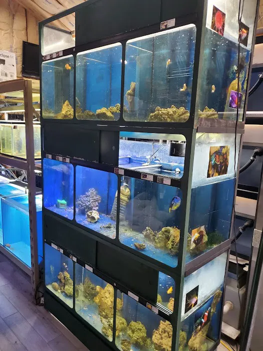 Northside Aquatics LLC Picture 9