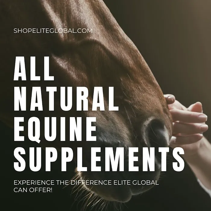 Elite Global LLC Picture 4