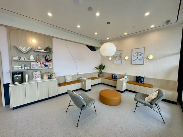 Bond Vet - Westport Picture 5