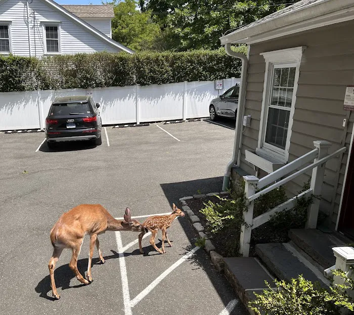 Winslow Park Animal Hospital Picture 6
