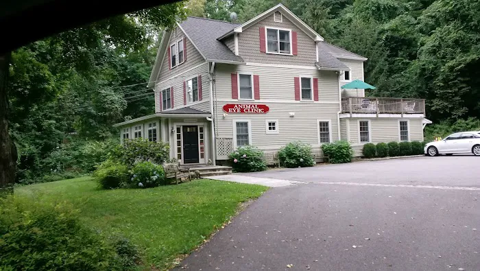 Animal Eye Clinic Wilton Picture 2