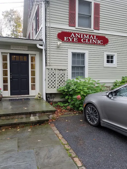 Animal Eye Clinic Wilton Picture 8
