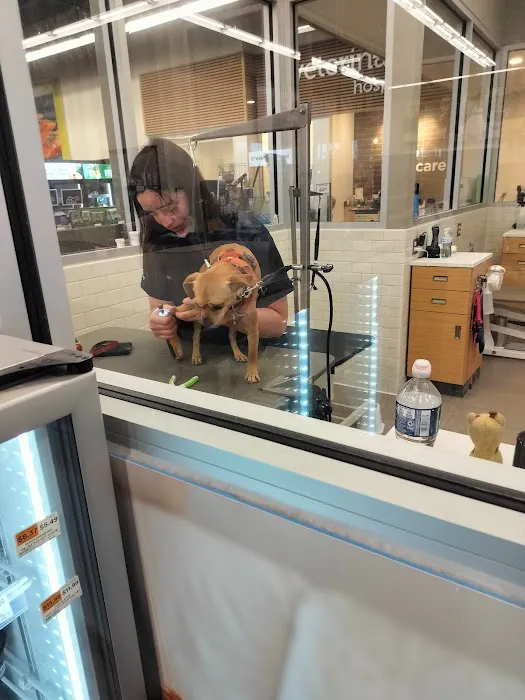 Petco Picture 4