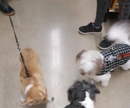 Petco