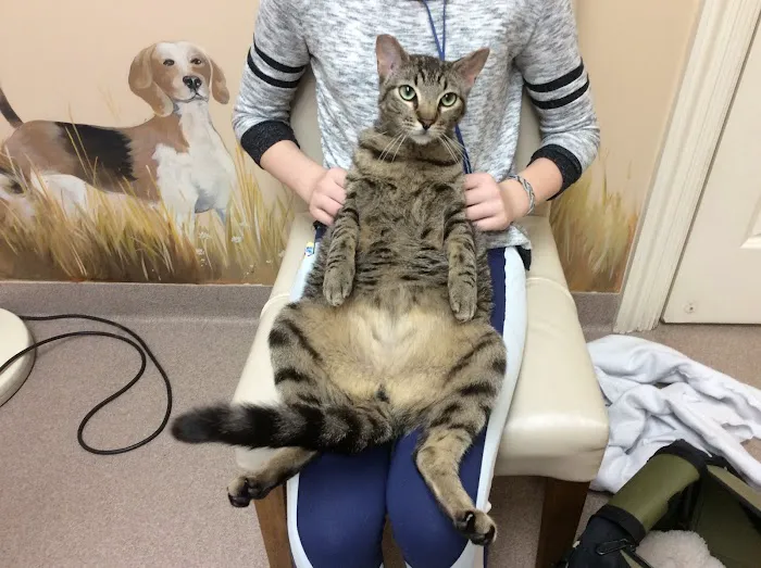 Quarry Ridge Animal Hospital Picture 7