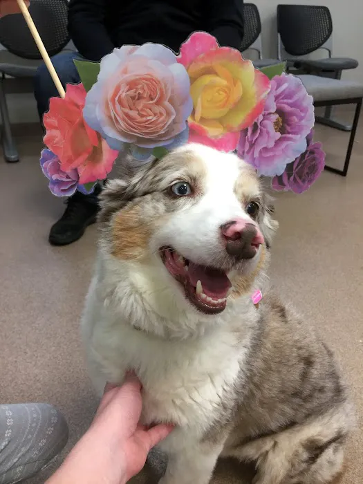 Quarry Ridge Animal Hospital Picture 5