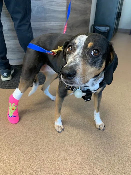 Quarry Ridge Animal Hospital Picture 8