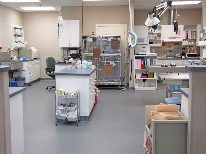 Quarry Ridge Animal Hospital Picture 3