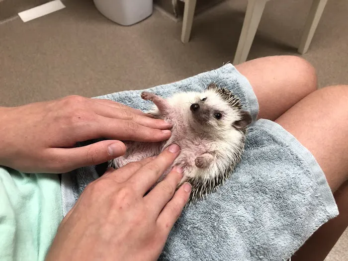 Quarry Ridge Animal Hospital Picture 1