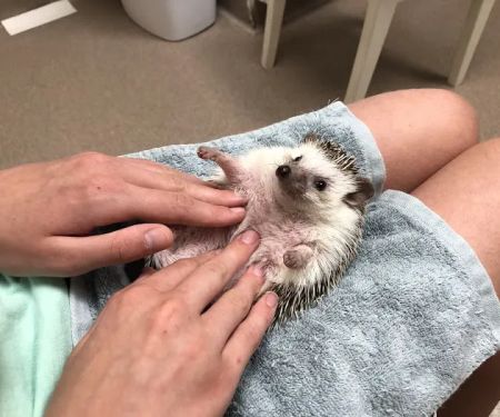 Quarry Ridge Animal Hospital
