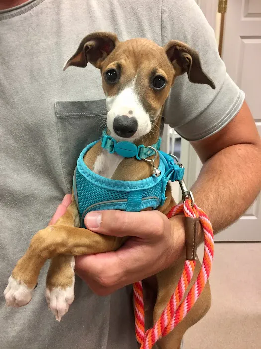 Quarry Ridge Animal Hospital Picture 10