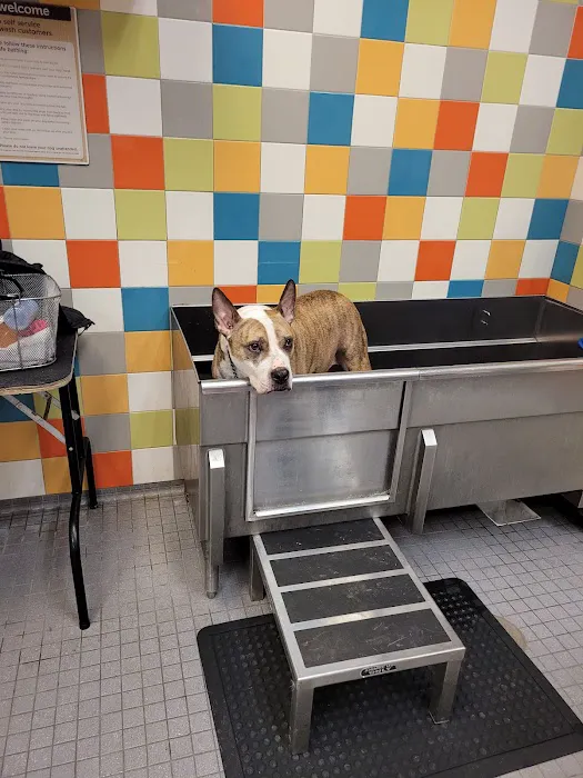 Petco Picture 7