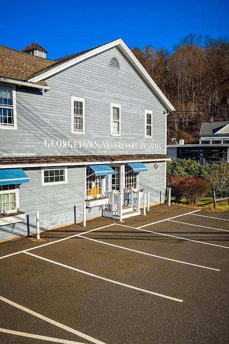 Georgetown Veterinary Hospital Picture 2