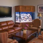 Blue Planet Aquarium Services